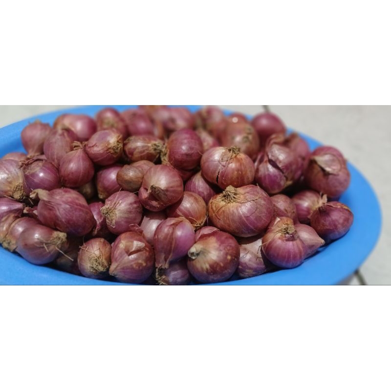 

Bawang Merah 1 Kg