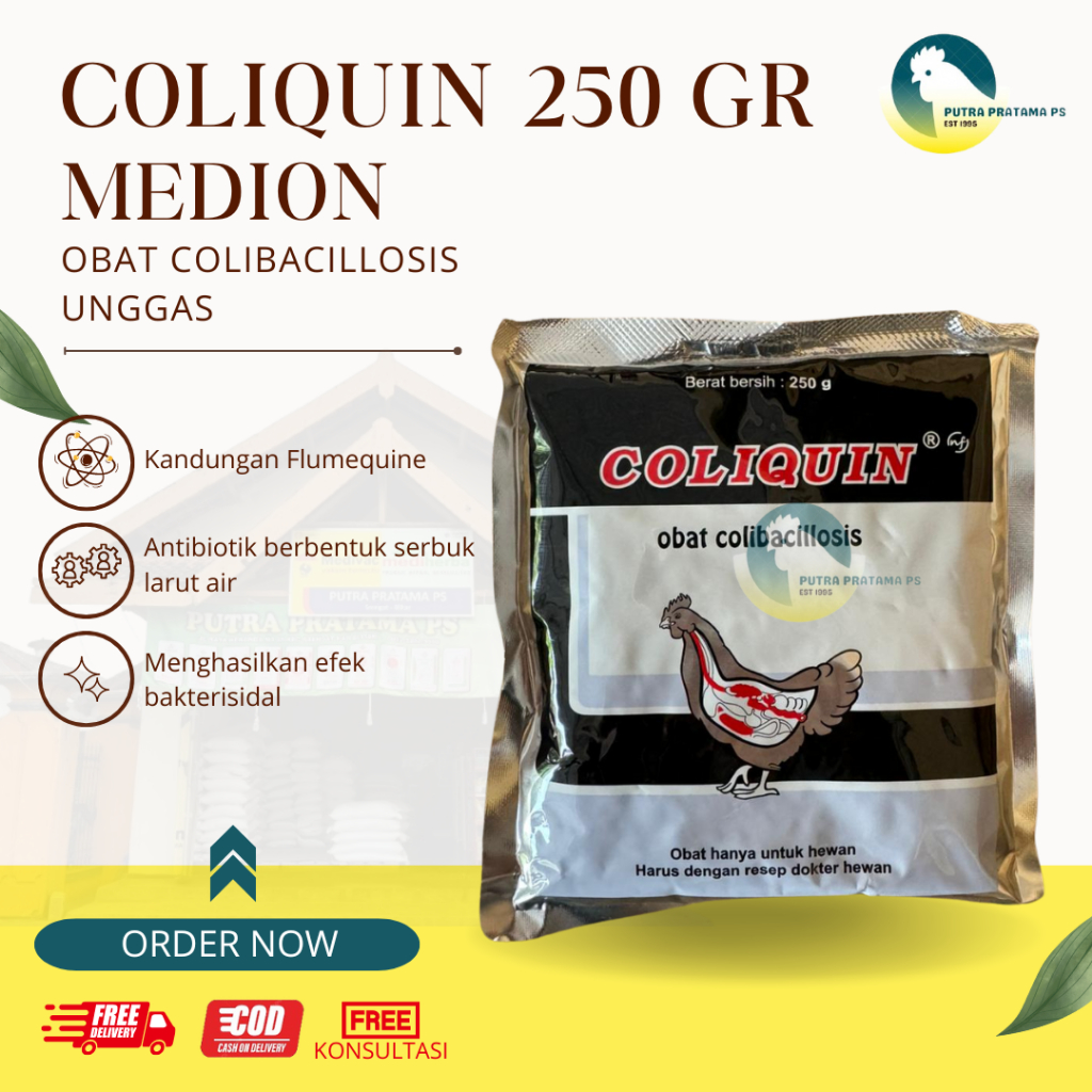 COLIQUIN 250 gram - Obat Colibacillosis Sulit Bernafas Unggas Medion