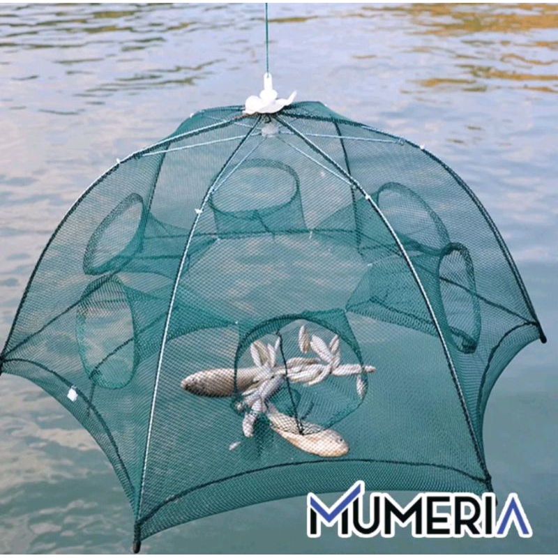ALAT PENANGKAP IKAN/LOBSTER/KEPITING BUBU PAYUNG 6 LUBANG