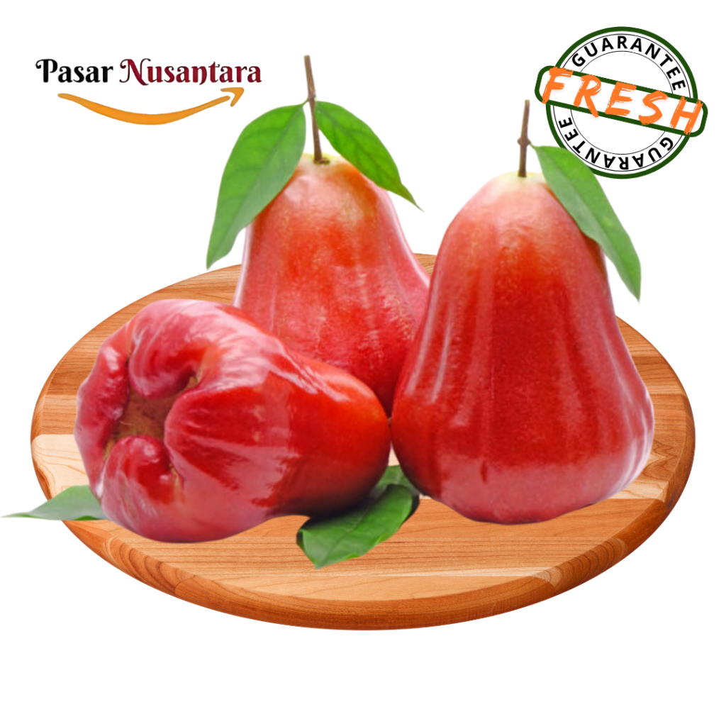 

Buah jambu air 500 gram - Pasar Nusantara