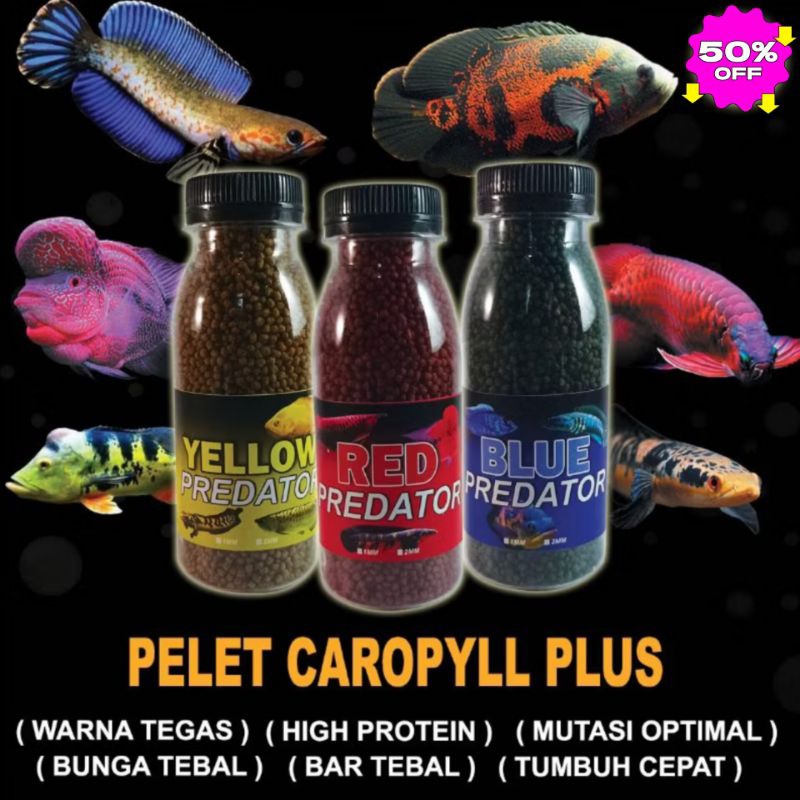 Pelet Ikan Channa Premium Red Blue Yellow Carophyll Channa Louhan oscar pbas