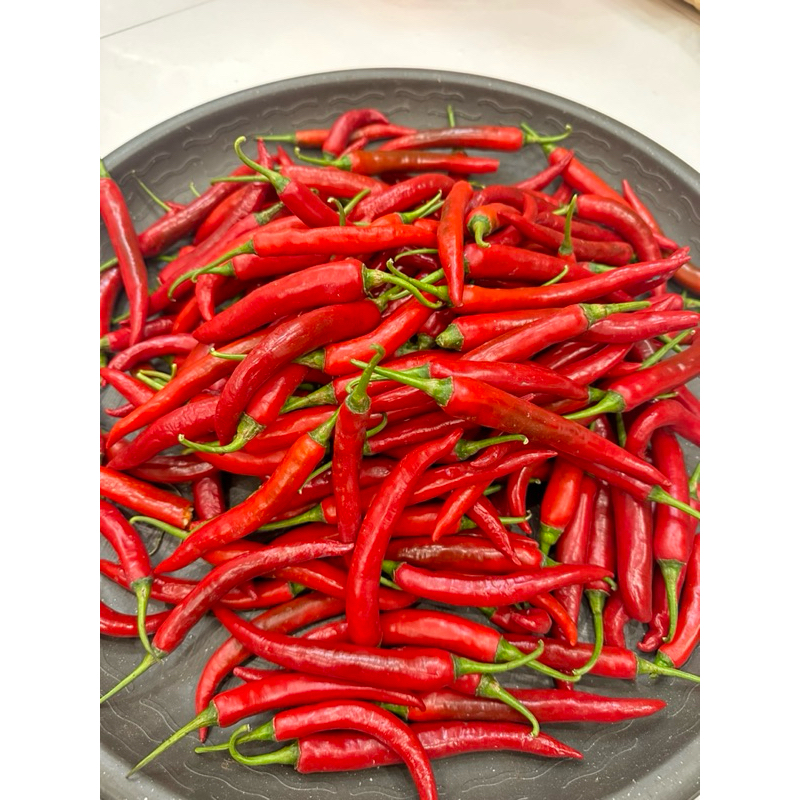 

cabai merah super 1kg petani banyuwangi