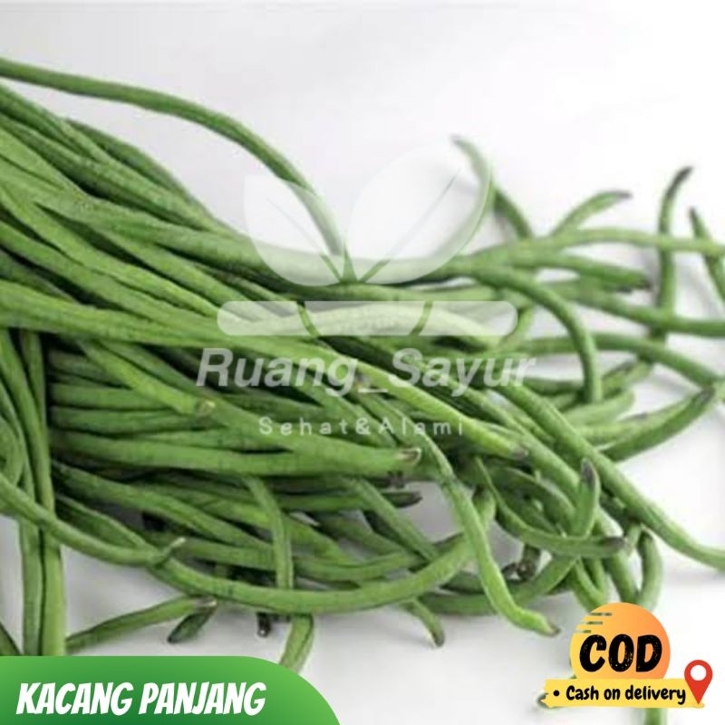 

Kacang Panjang Fresh , Kacang Panjang