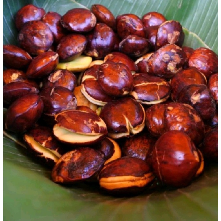 

Ssl09 JENGKOL TUA MENTAH 1 KG UDAH SORTIR/JENGKOL SUPER