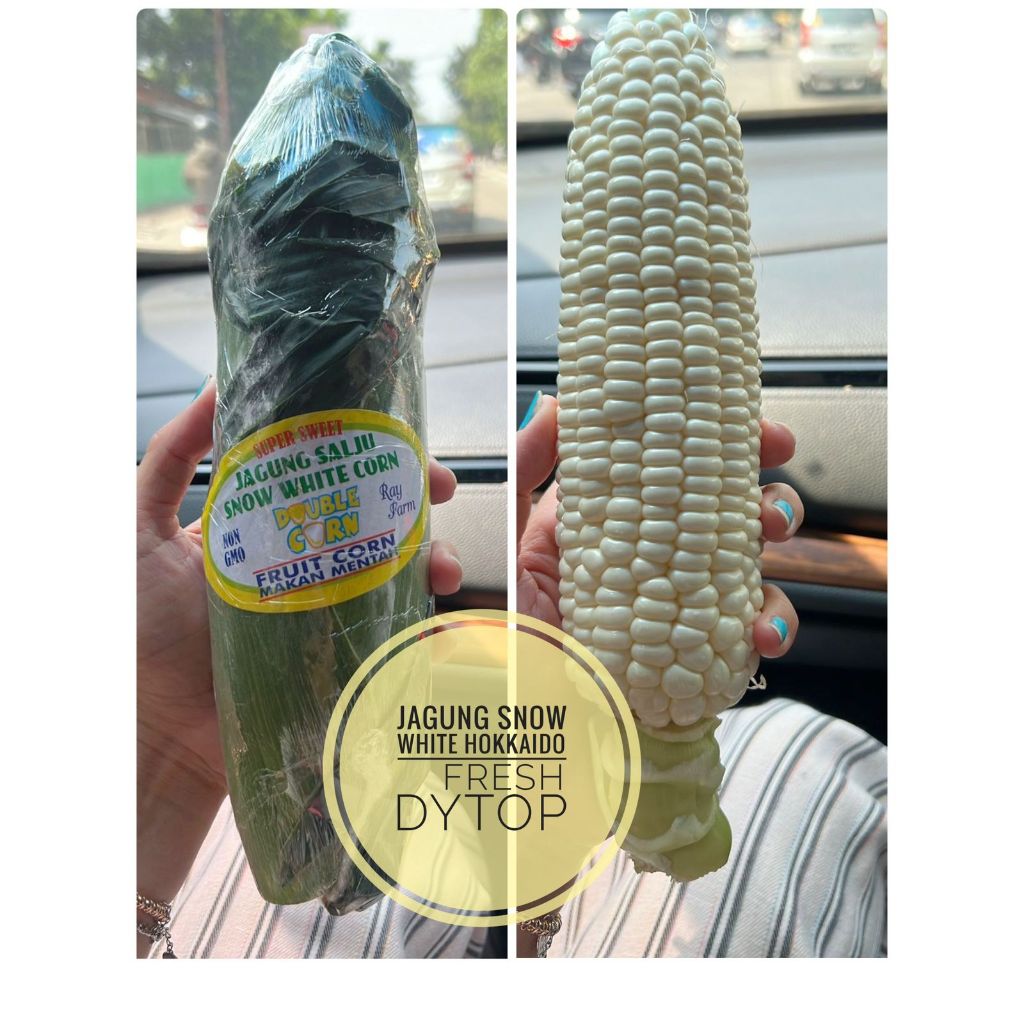 

Jagung Salju Snow White Jagung Hokkaido Double Corn Super Manis Bisa Makan Mentah