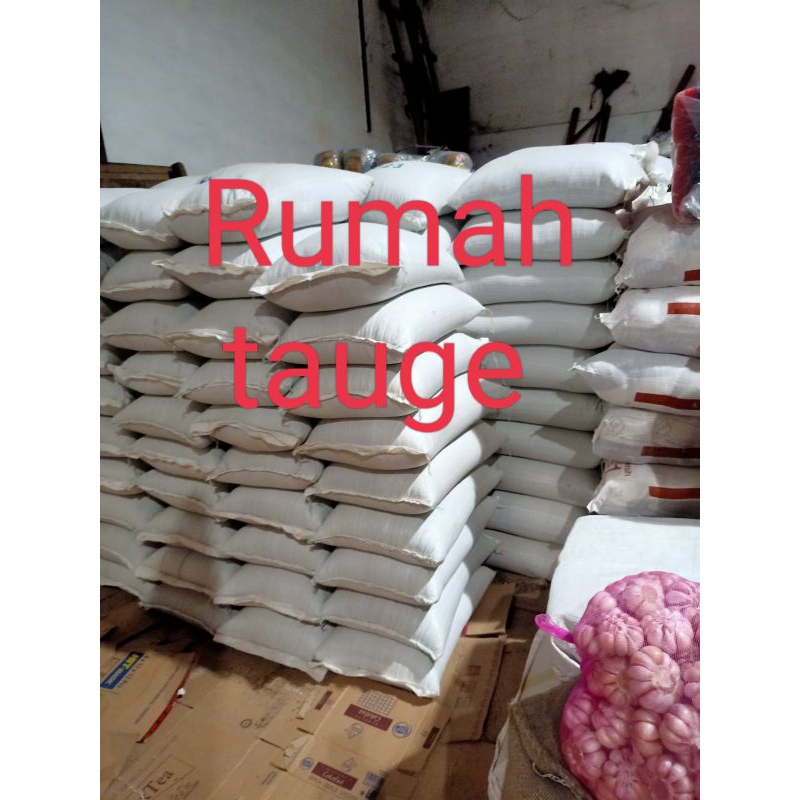 

kacang hijau sioci 25 kg/kacang toge/kacang/ kacang impor /sioci