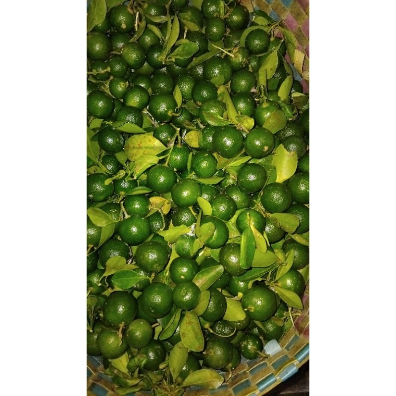 

jeruk kunci