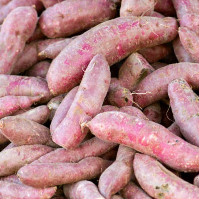

Ubi Ungu Mentah Berat 1 kg