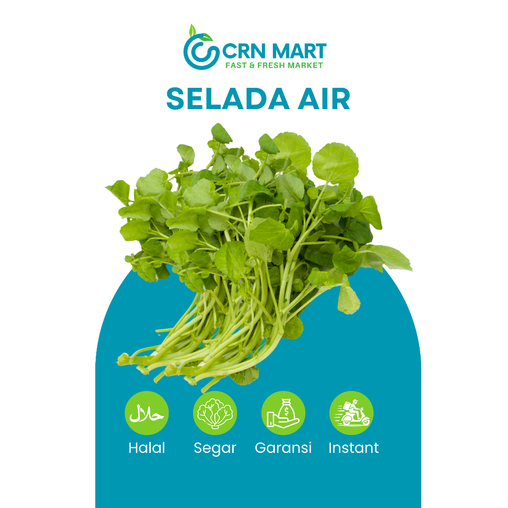 

CRN MART - Selada Air Segar/Sayuran Segar/Sayur Paret Fresh 1 Ikat