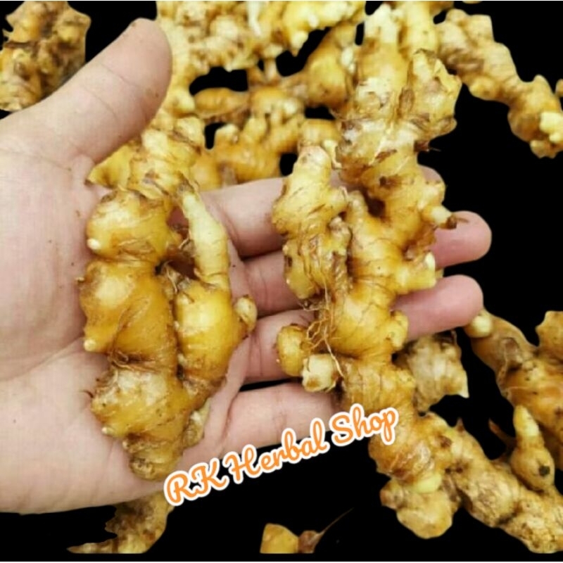

1 Kg Jahe Emprit Asli Segar Herbal Pelancar Peredaran Darah