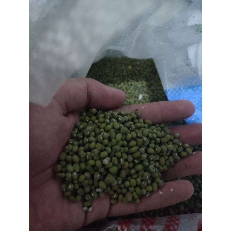

[BISA COD] KACANG HIJAU/BUBUR KACANG HIJAU/KACANG HIJAU ASLI BERKUALITAS 100% MURNI DARI PERTANIAN