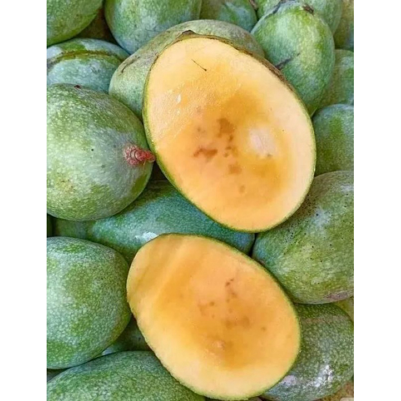 

Mangga Manalagi Berat 1 Kg