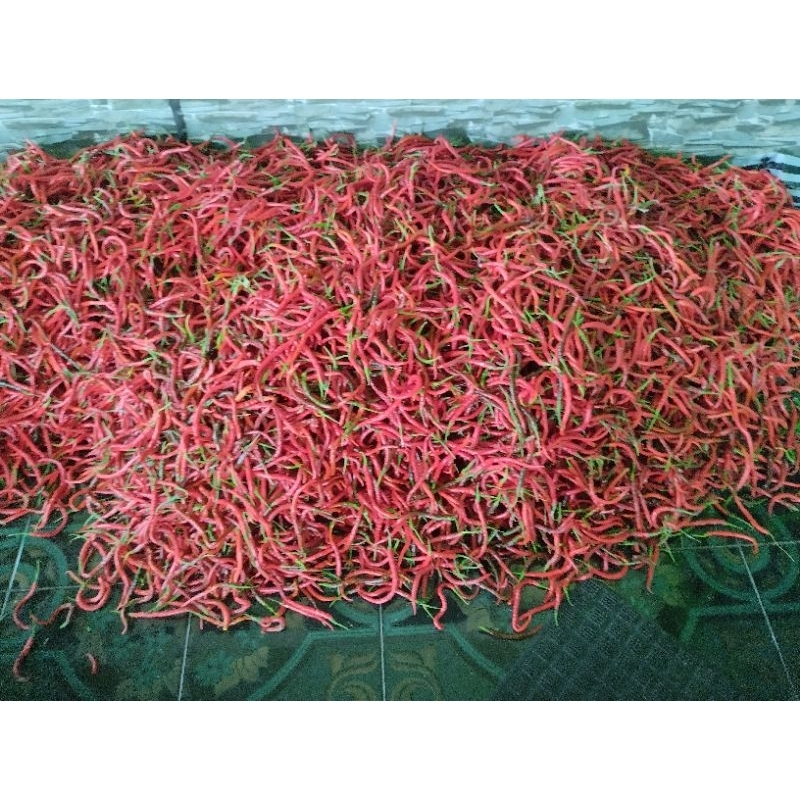 

Cabe/Cabe Merah Keriting 100gr