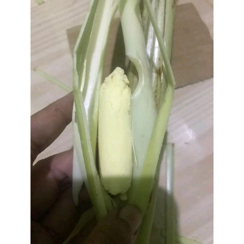 

sayuran segar, terubuk turubuk, tebu telor terubus.