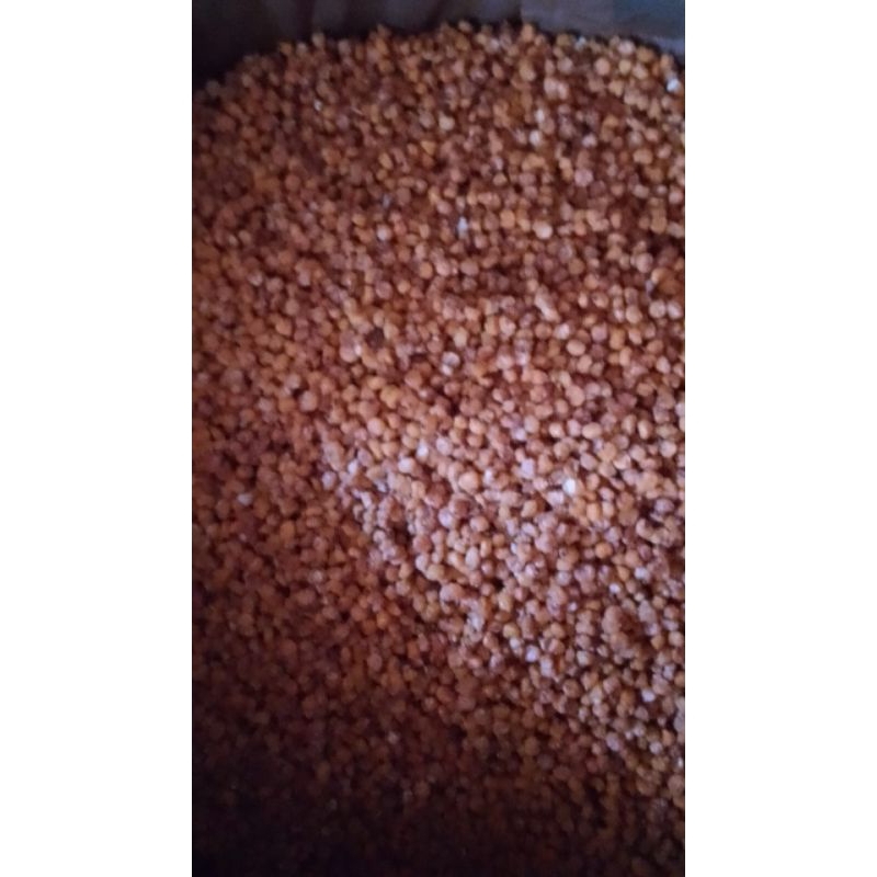 

marning jagung pedas manis bisa cod oleh oleh khas boyolali