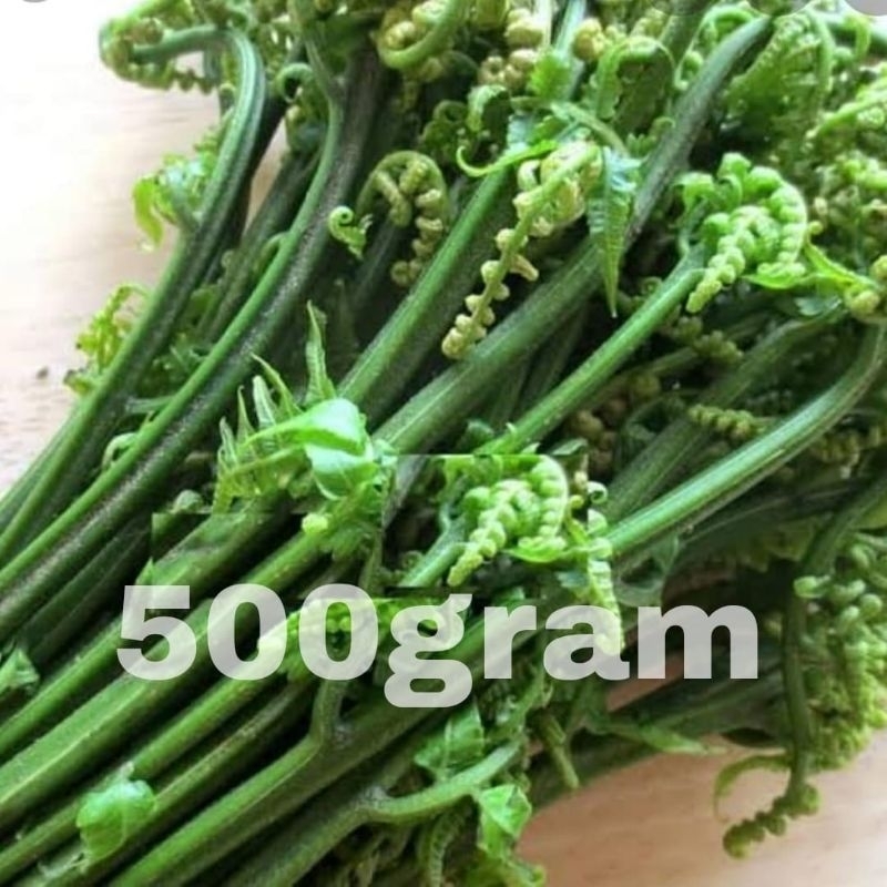 

sayuran pakis / sayur pakis / sayur pakis hijau / 500 gram