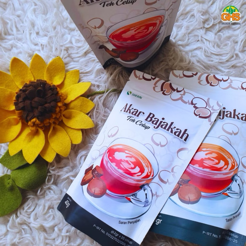 

Teh Bajakah Sherin obat benjolan tumor kanker dan lainnya