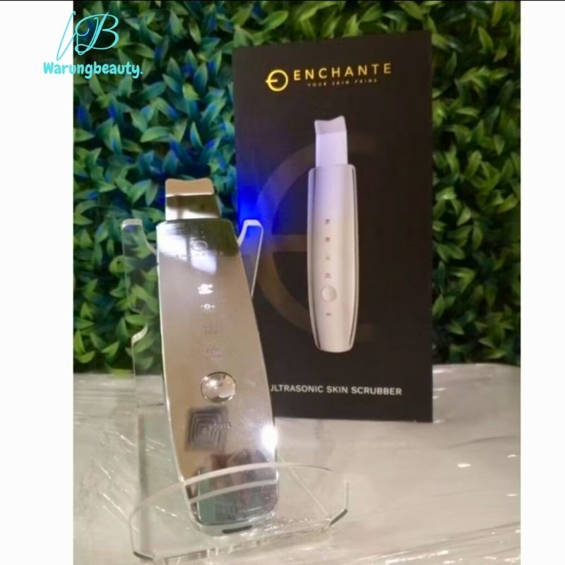 Portable ion ultrasonic skin scrubber