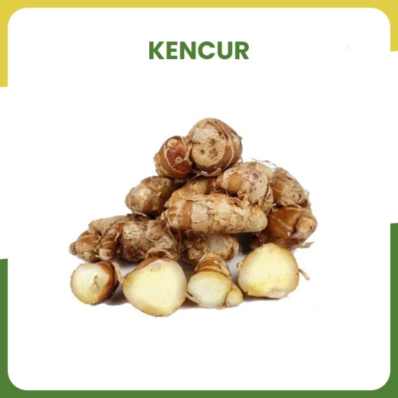 

Kencur Super Fresh 1kg Sudah di Sortir