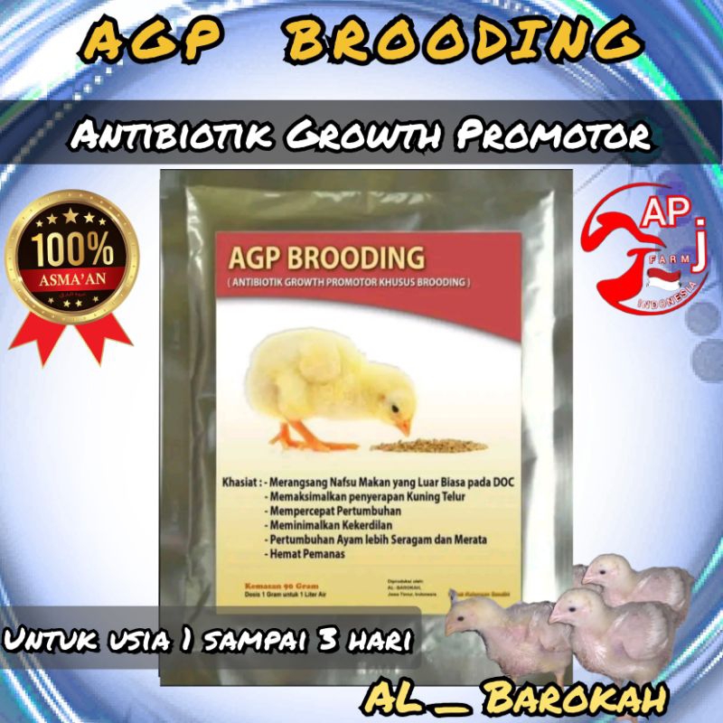 Agp brooding,vitamin brooding,suplement brooding