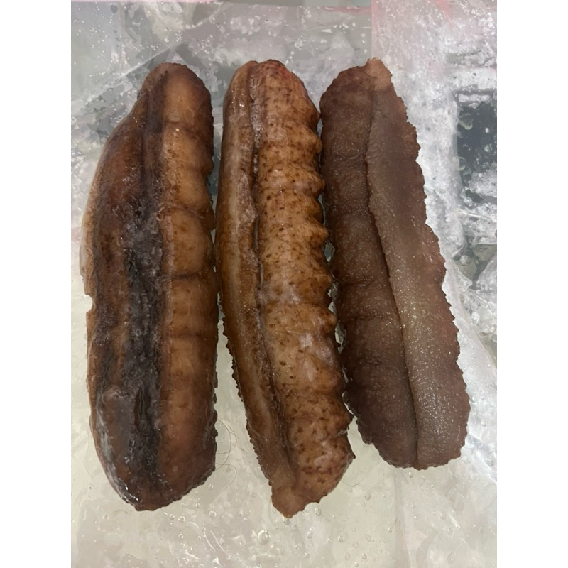 

teripang/ haisom basah