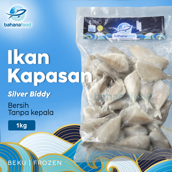 

Silver Biddy Frozen - Ikan Kapasan Bersih Beku