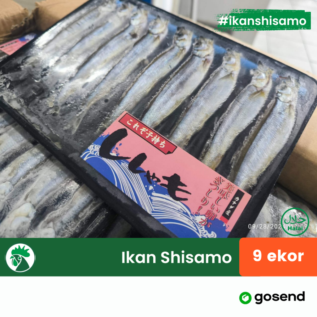

Ikan Shisamo Chapelin Super Isi 9ekor Per Pack