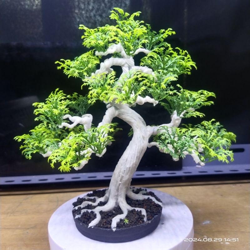 Bonsai Aquascape Batang Putih Bahan Plastik