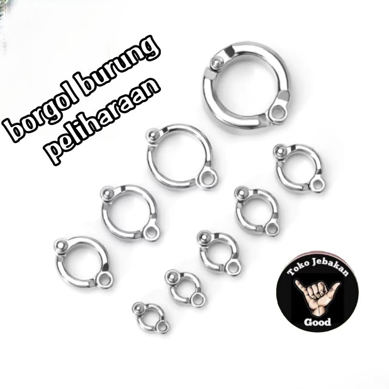 RING BORGOL KAKI BURUNG PELIHARAAN