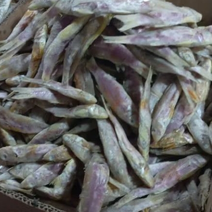 

Ikan Asin kuniran 1 kg