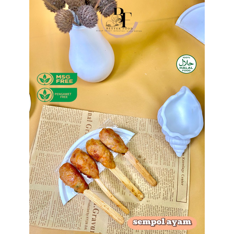 

Sempol Ayam Premium HomeMade NON MsG dan Pengawet