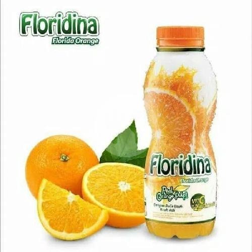 

Floridina Orange 350ml/pcs