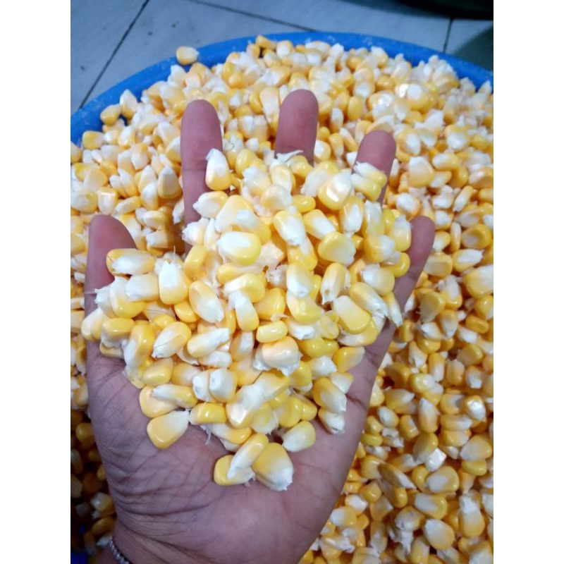 

jagung pipil manis 1kg