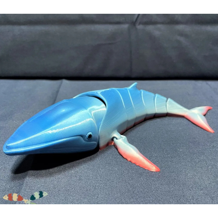 Mainan Ikan Paus Edukasi Anak Flexi Humpback Whale Paus biru