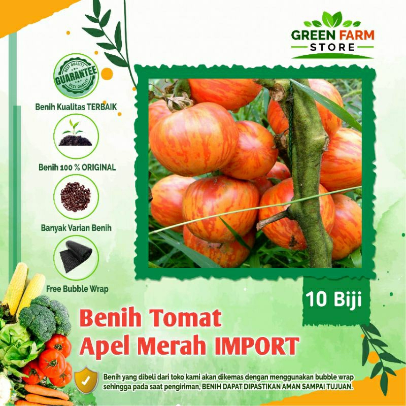 Benih Tomat Apel Merah-IMPORT (10Biji)