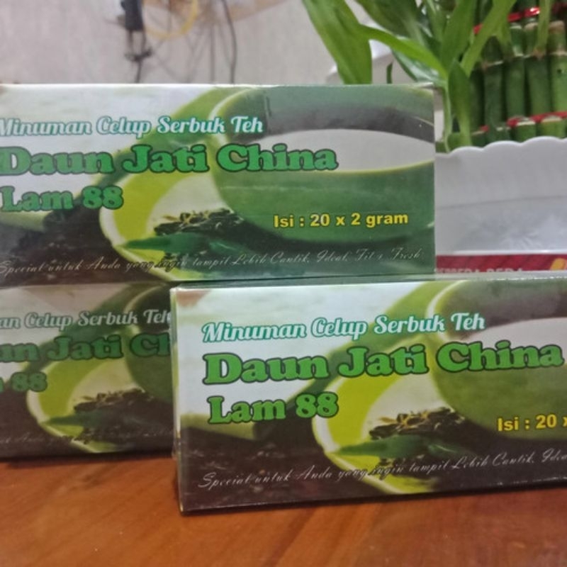 

Teh celup Jati Cina Lam 88