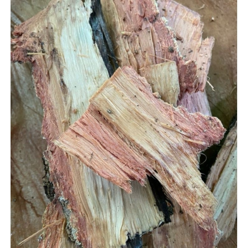 

Kulit pohon salam segar fresh organik 500 gram-az