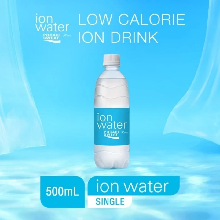 

ION Water PET 500 ml - Single