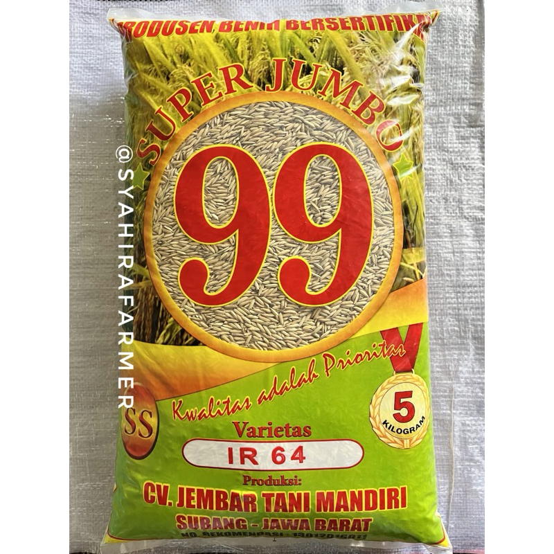 BENIH PADI IR 64 SUPER JUMBO