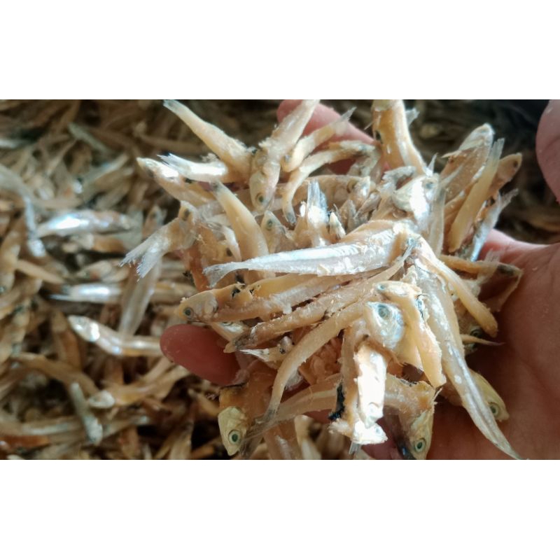 

IKAN ASIN TERI ASIN KERING 500 GRAM