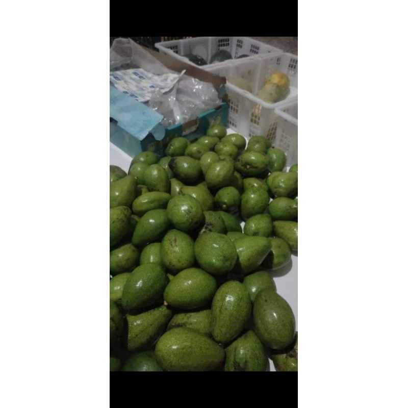 

alpukat mentega 1kg