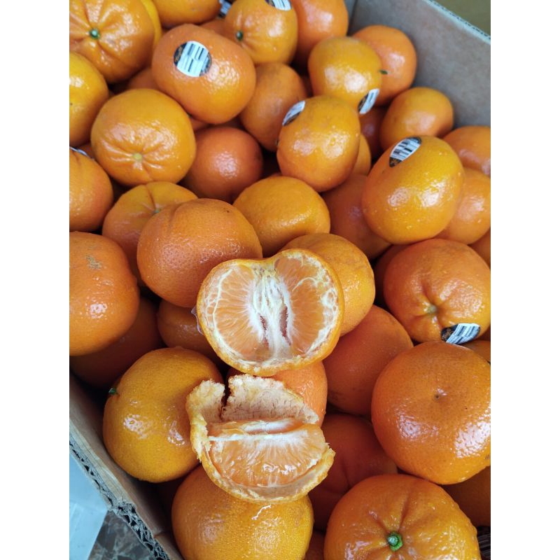 

Jeruk Tangold Aforer 1Kg