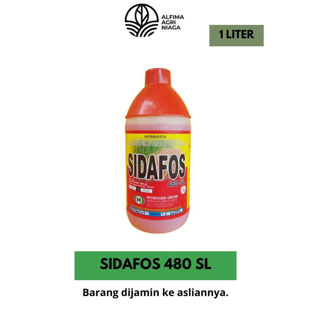 sidafos 1 liter/ obat rumput herbisida
