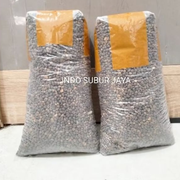 Benih Kangkung Curah 1 KG