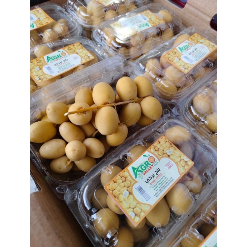 

Kurma Muda Mesir 500 gr