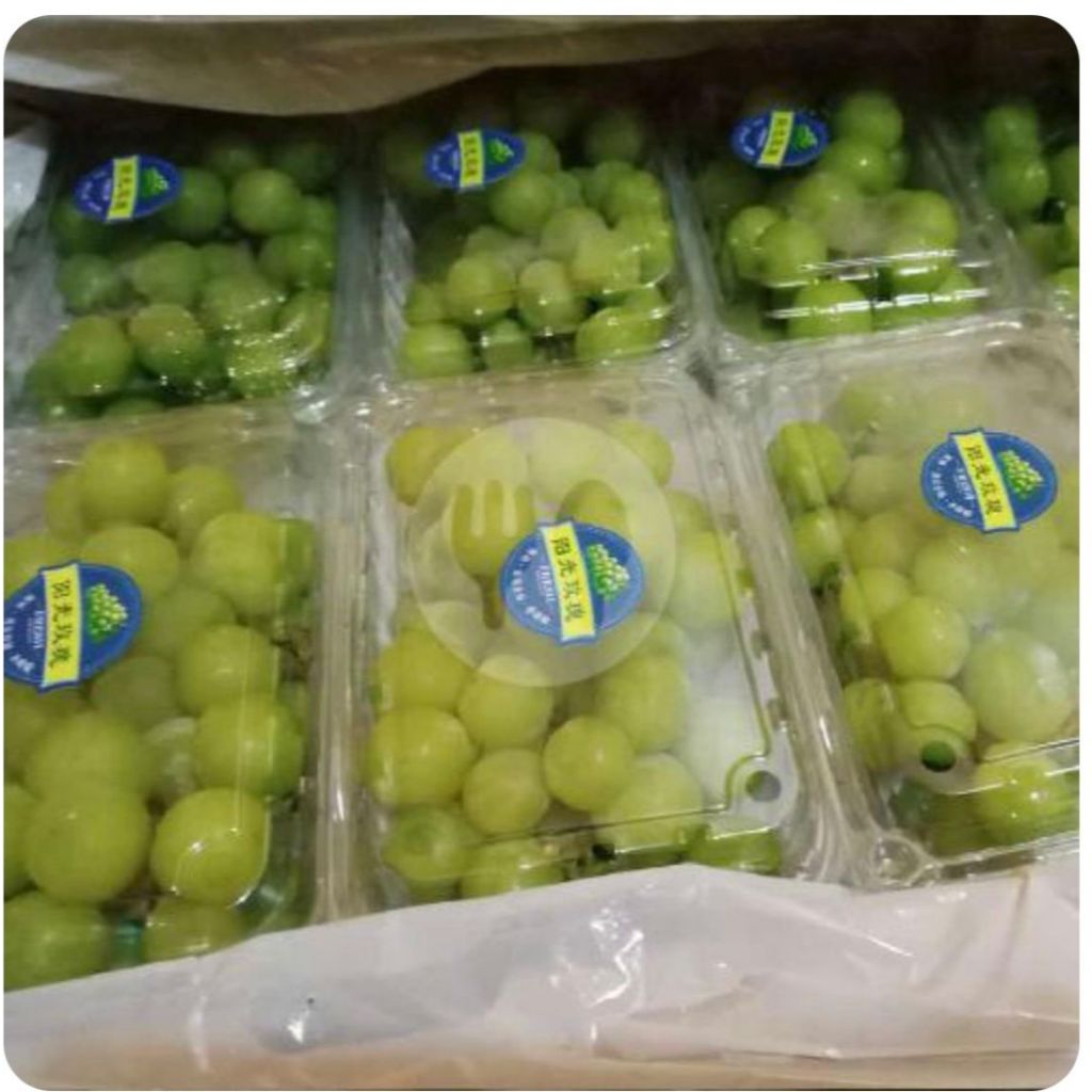 

Anggur Muscat Shine Hijau 500gr Pack