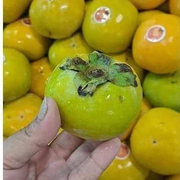 

buah persimon per biji