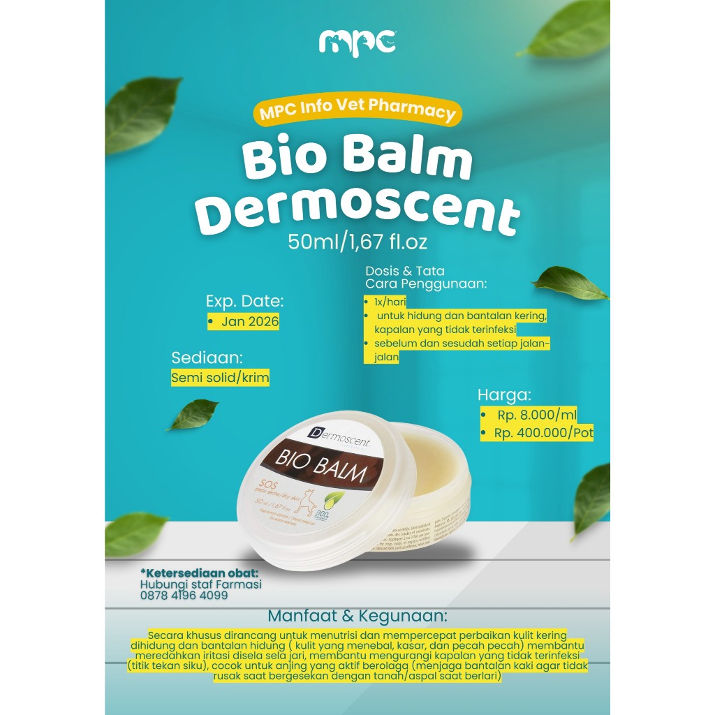 Bio Balm For Dog 50ml Dermoscent BIO BALM