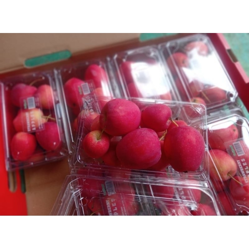 

apel strawberry 1 dus isi 8 pack / buah apel Cherry 1 dus isi 8 pack