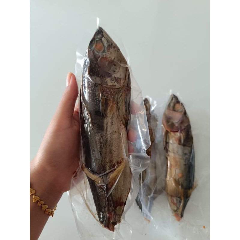 

Ikan Asap Cakalang berat basah 250-290gram perekor